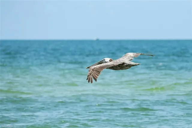 $14,700 | 551 91st Avenue North, Naples, FL 34108