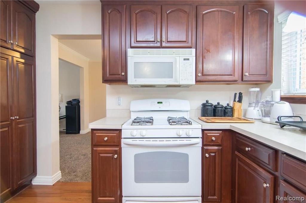 868 Lion Street Rochester Hills, MI 48307 - Photo 14 of 42