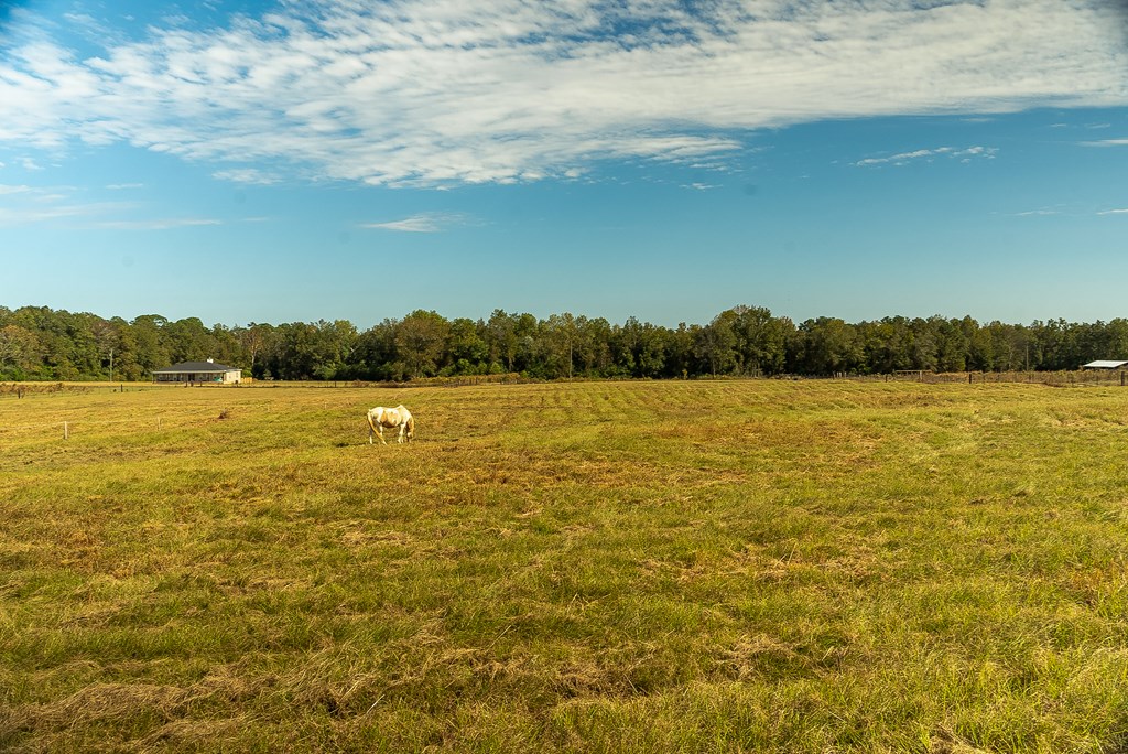 0 J B J B Jackson Road Webb, AL 36376 - Photo 11 of 38
