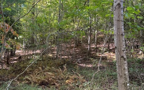 Additional View