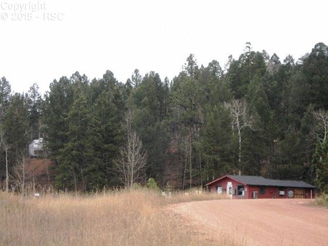 958 Kutsu Ridge Road Florissant, CO 80816 - Photo 9 of 11 Gallery Image 9