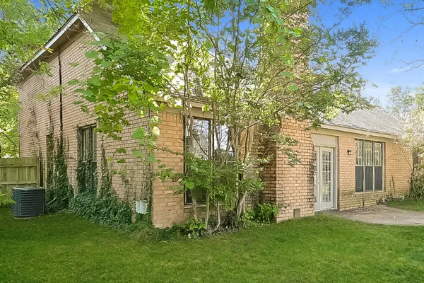 a view of a backyard with plants and large trees