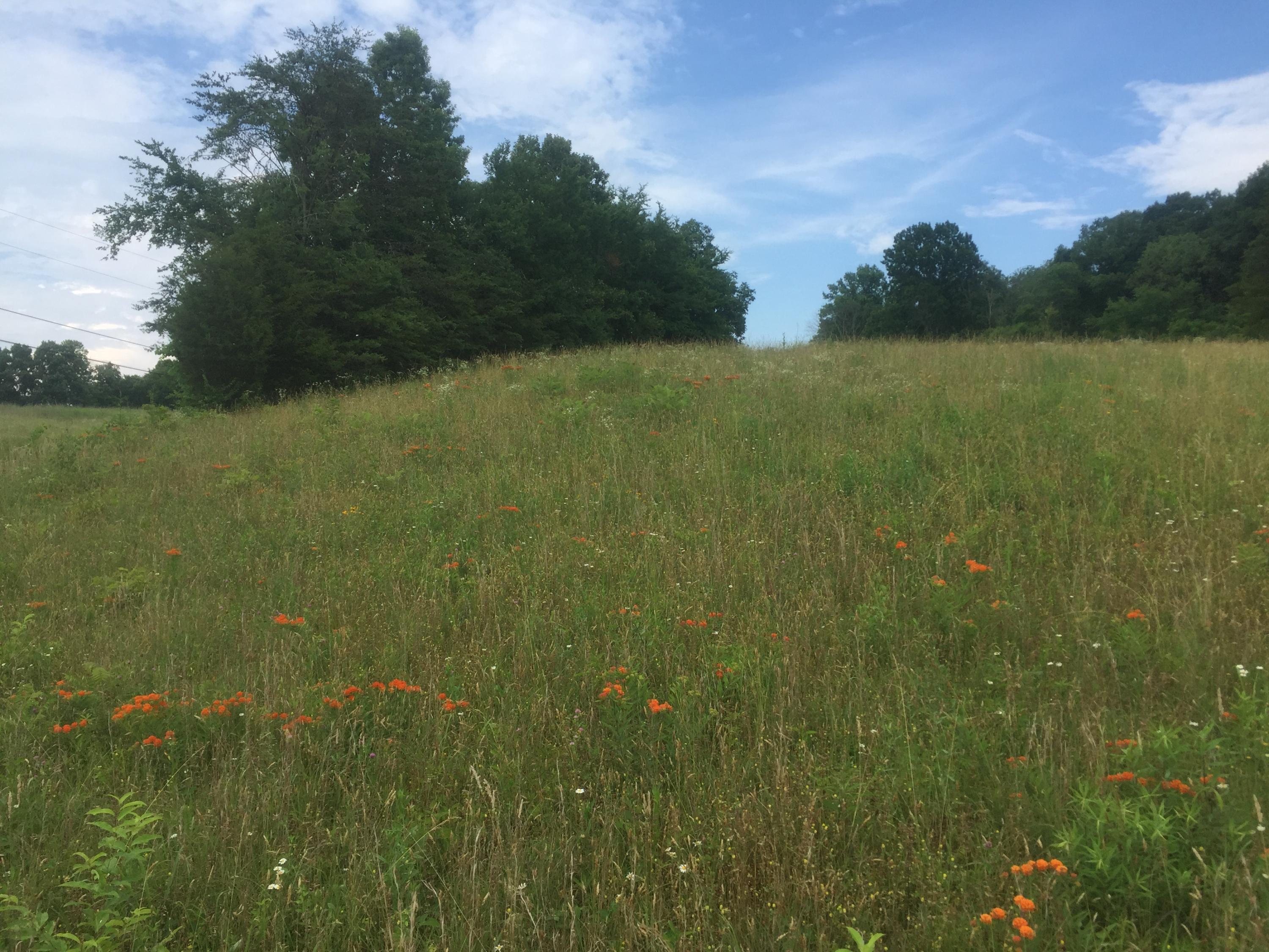 0 Raders Sidetrack Road Greeneville, TN 37743 - Photo 2 of 17 2