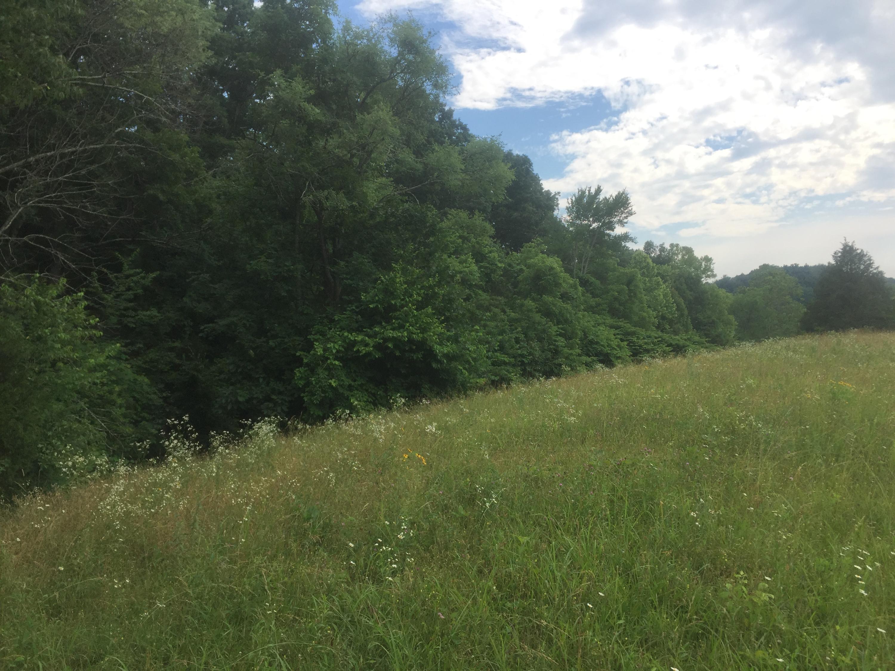 0 Raders Sidetrack Road Greeneville, TN 37743 - Photo 12 of 17 13