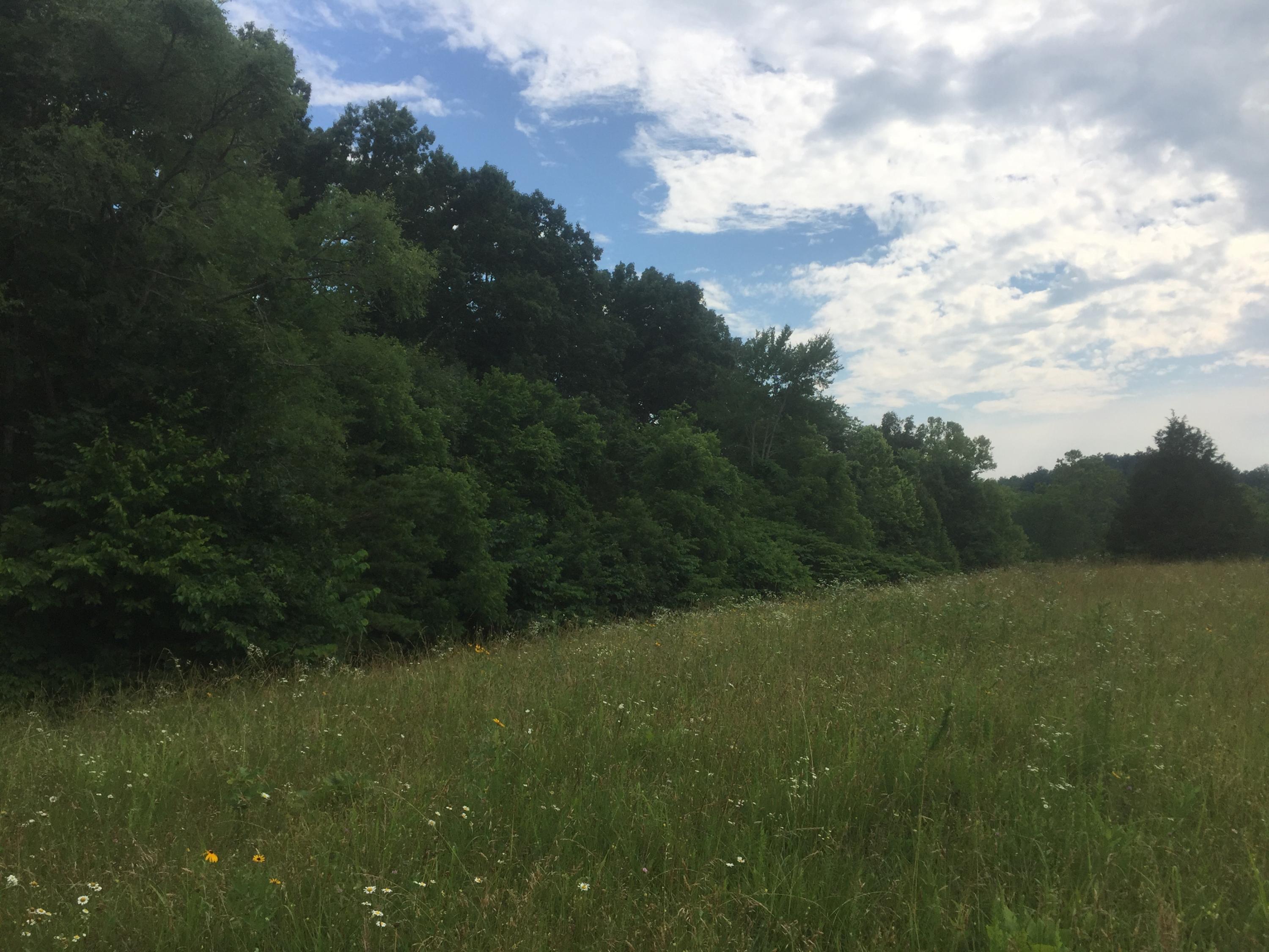 0 Raders Sidetrack Road Greeneville, TN 37743 - Photo 13 of 17 14