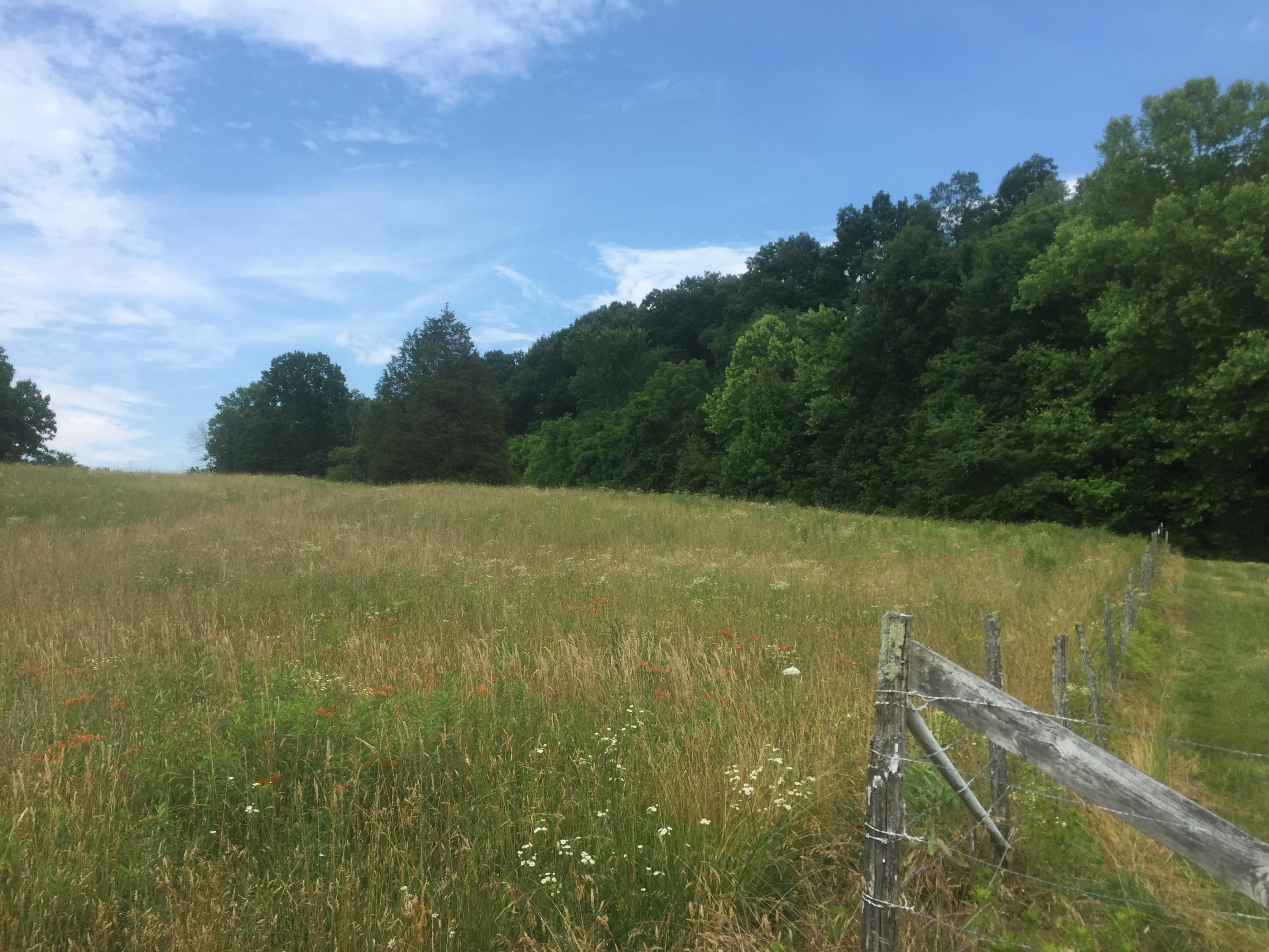 0 Raders Sidetrack Road Greeneville, TN 37743 - Photo 15 of 17 16