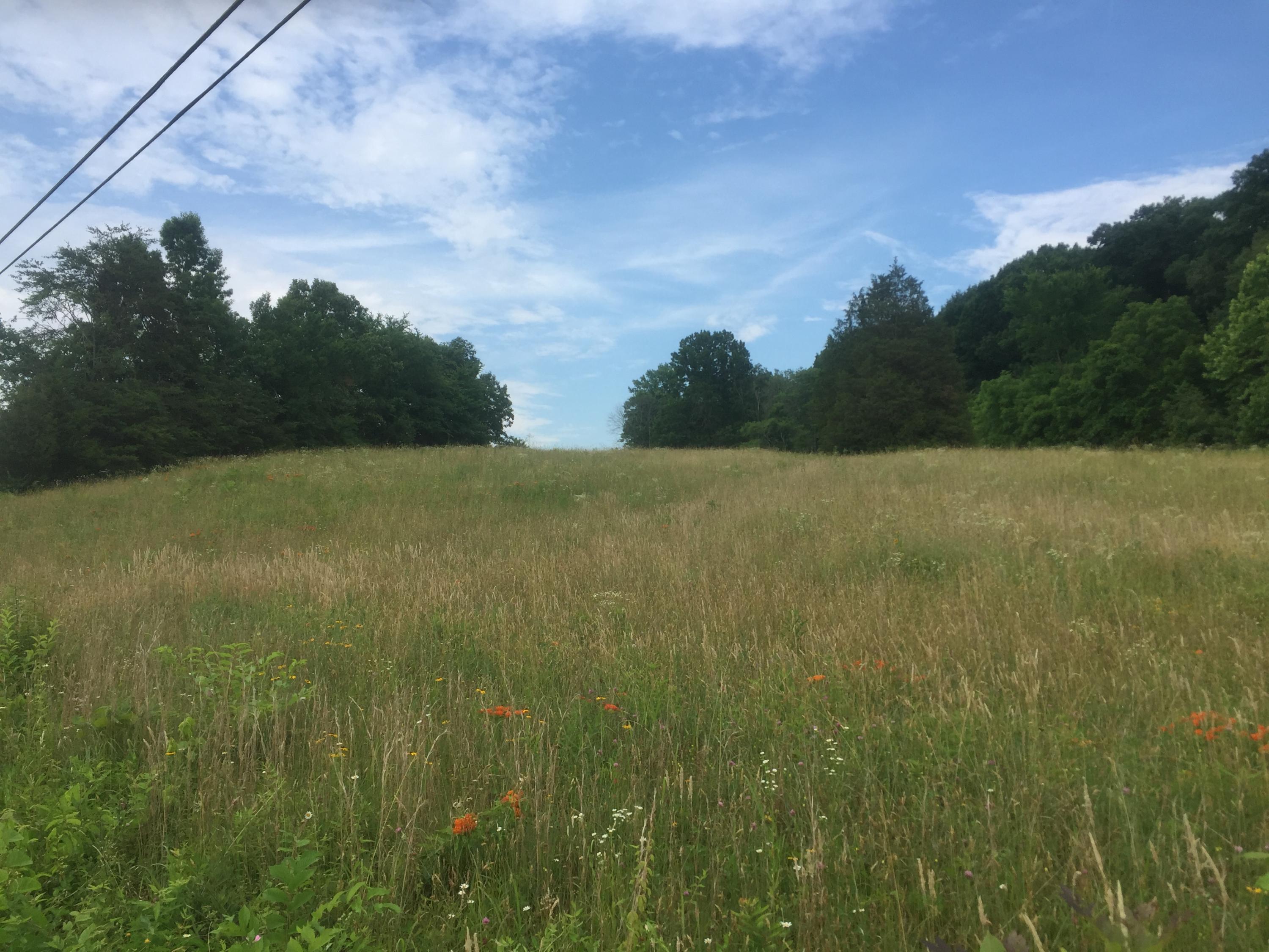 0 Raders Sidetrack Road Greeneville, TN 37743 - Photo 3 of 17 3