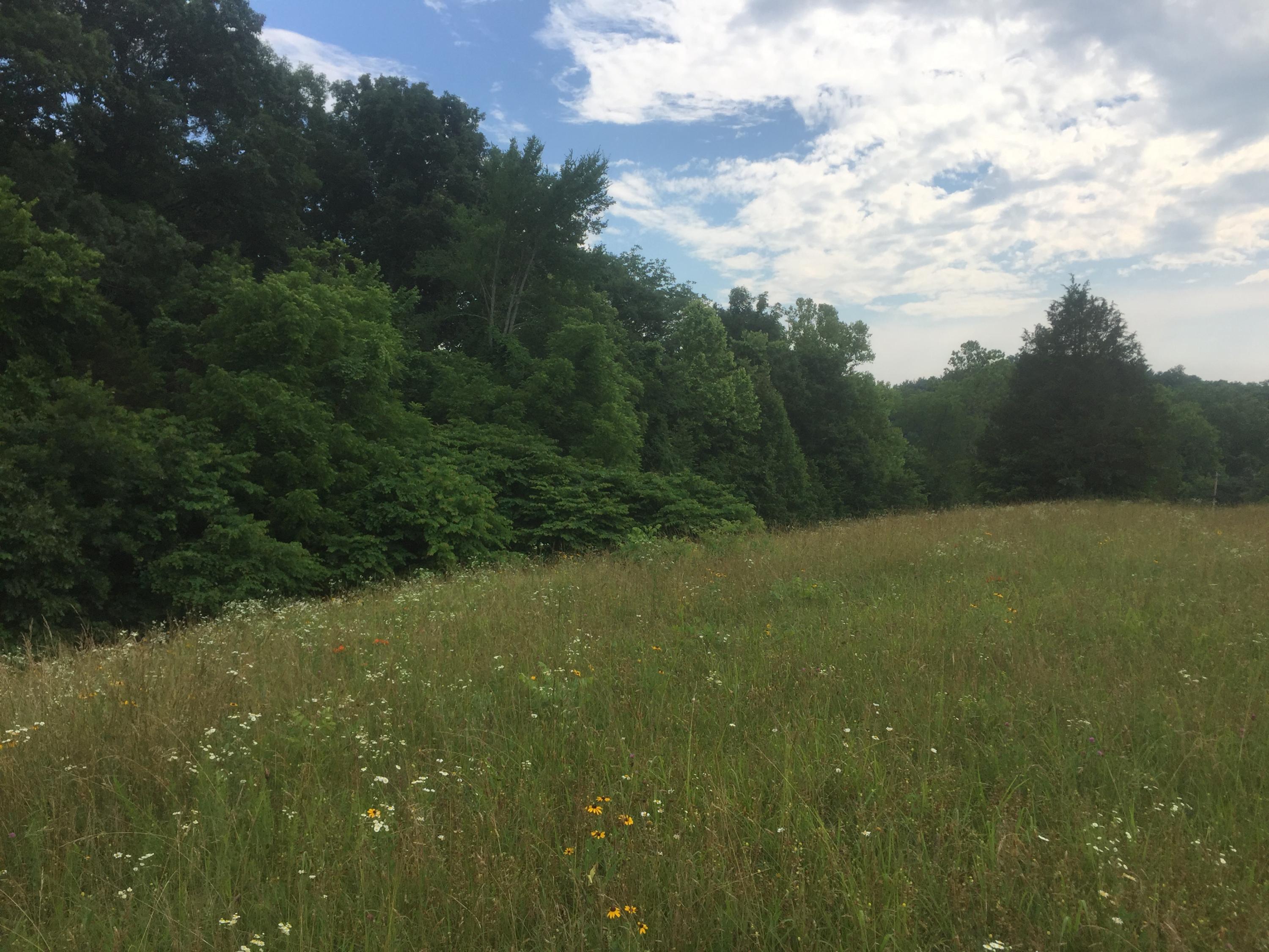 0 Raders Sidetrack Road Greeneville, TN 37743 - Photo 6 of 17 6
