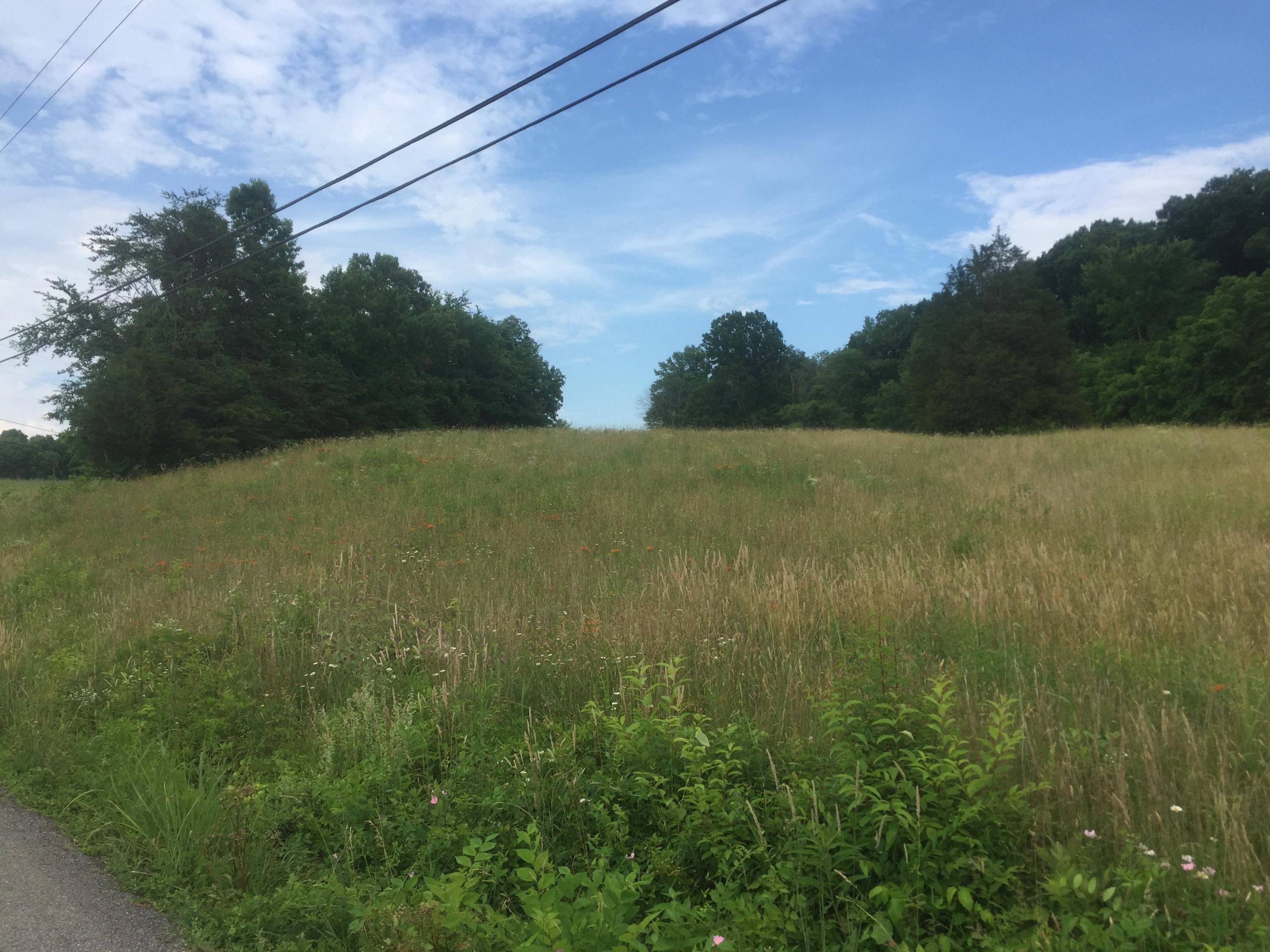 0 Raders Sidetrack Road Greeneville, TN 37743 - Photo 8 of 17 8