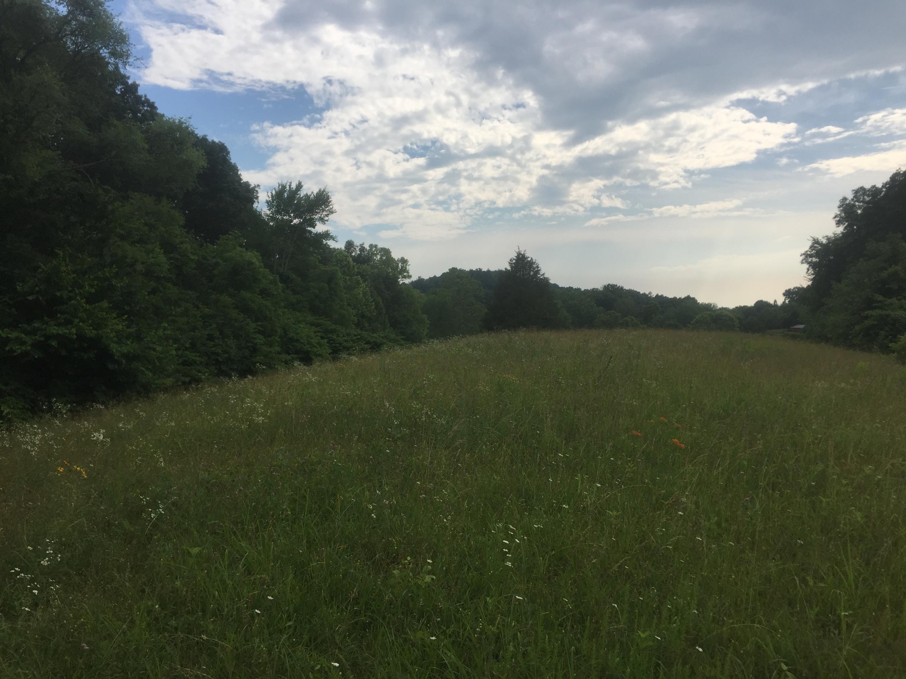 0 Raders Sidetrack Road Greeneville, TN 37743 - Photo 9 of 17 10