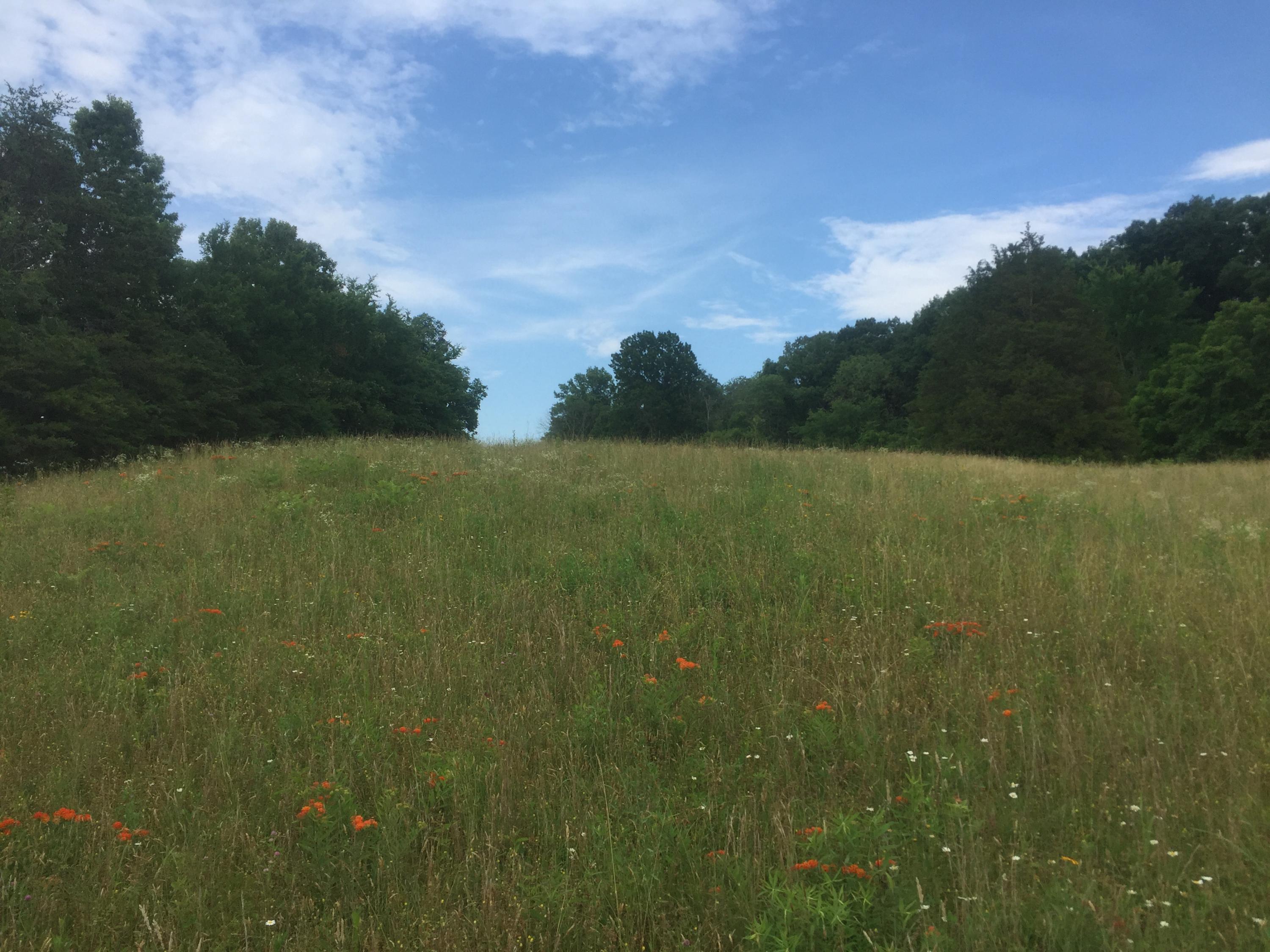 0 Raders Sidetrack Road Greeneville, TN 37743 - Photo 10 of 17 11