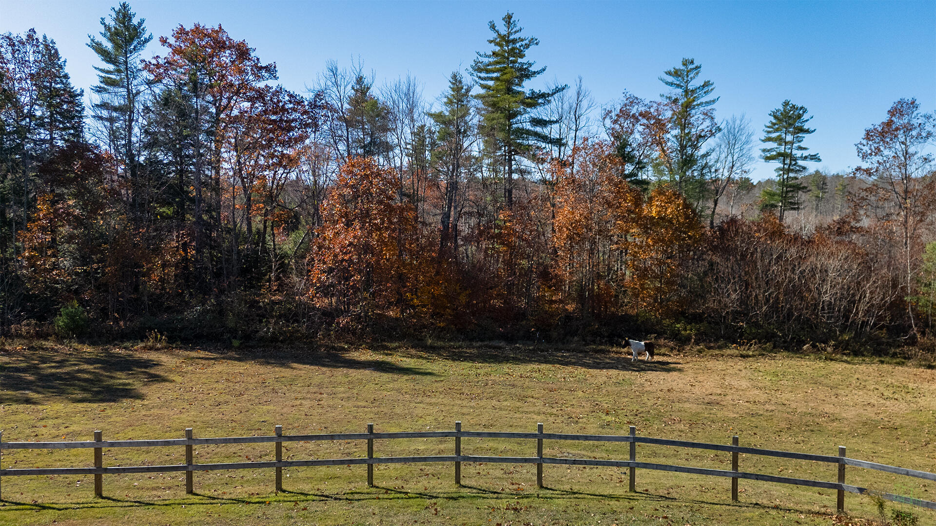 62 Philbrick Road Sanford, ME 04073 - Photo 4 of 53 Yard