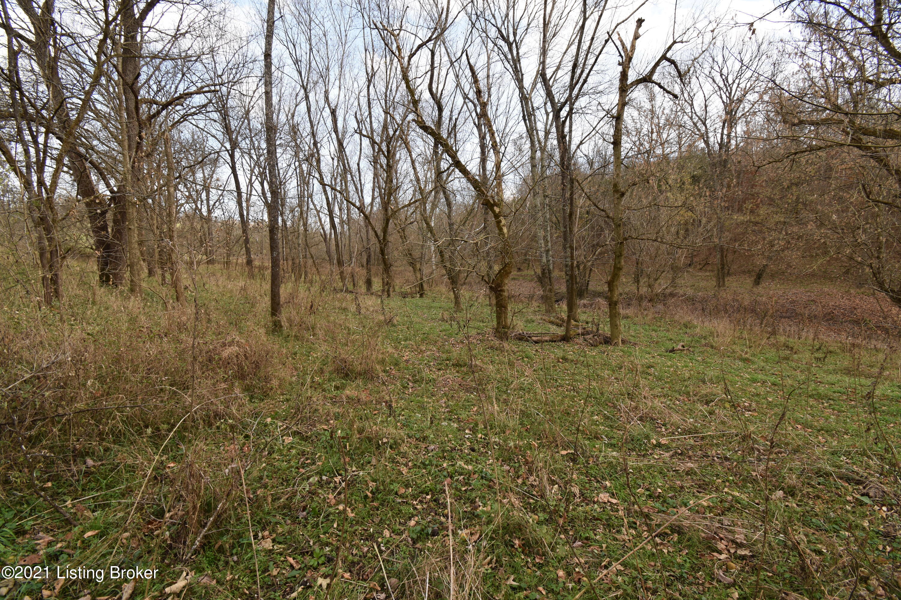 0 Prather Ridge Road Willisburg, KY 40078 - Photo 7 of 20 06