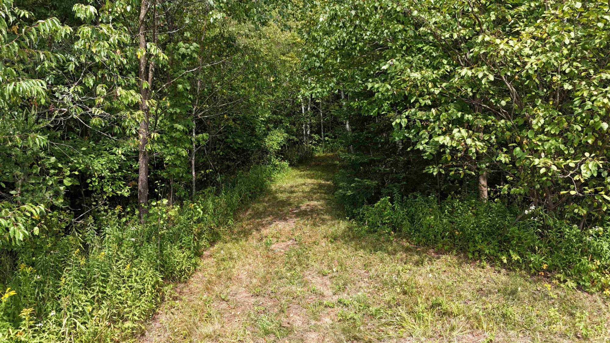 N5402 Aspen Road Brantwood, WI 54513 - Photo 12 of 27 Gallery Image 12