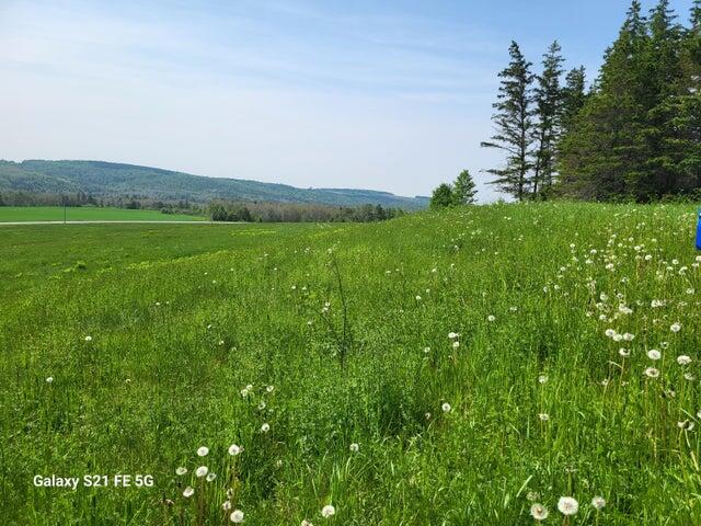 147 Lake Road Van Buren, ME 04785 - Photo 14 of 57 20230619205958440824000000-o