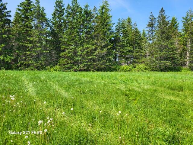 147 Lake Road Van Buren, ME 04785 - Photo 23 of 57 20230619205323403275000000-o