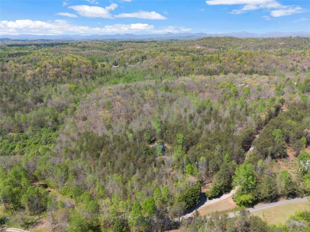 219 John Garner Road Dahlonega, GA 30533 - Photo 72 of 76 a view of a city with lush green forest