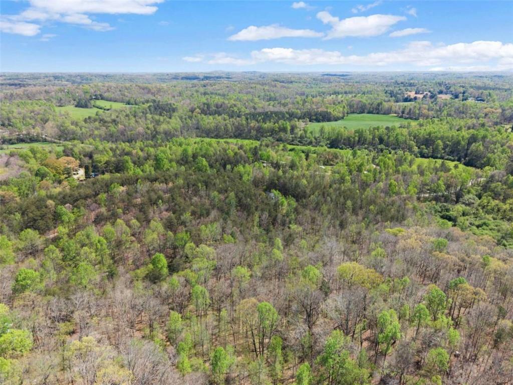 219 John Garner Road Dahlonega, GA 30533 - Photo 75 of 76 a view of a green field