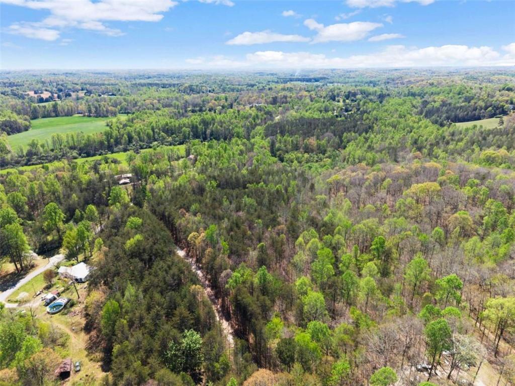 219 John Garner Road Dahlonega, GA 30533 - Photo 76 of 76 a view of a city with lush green forest