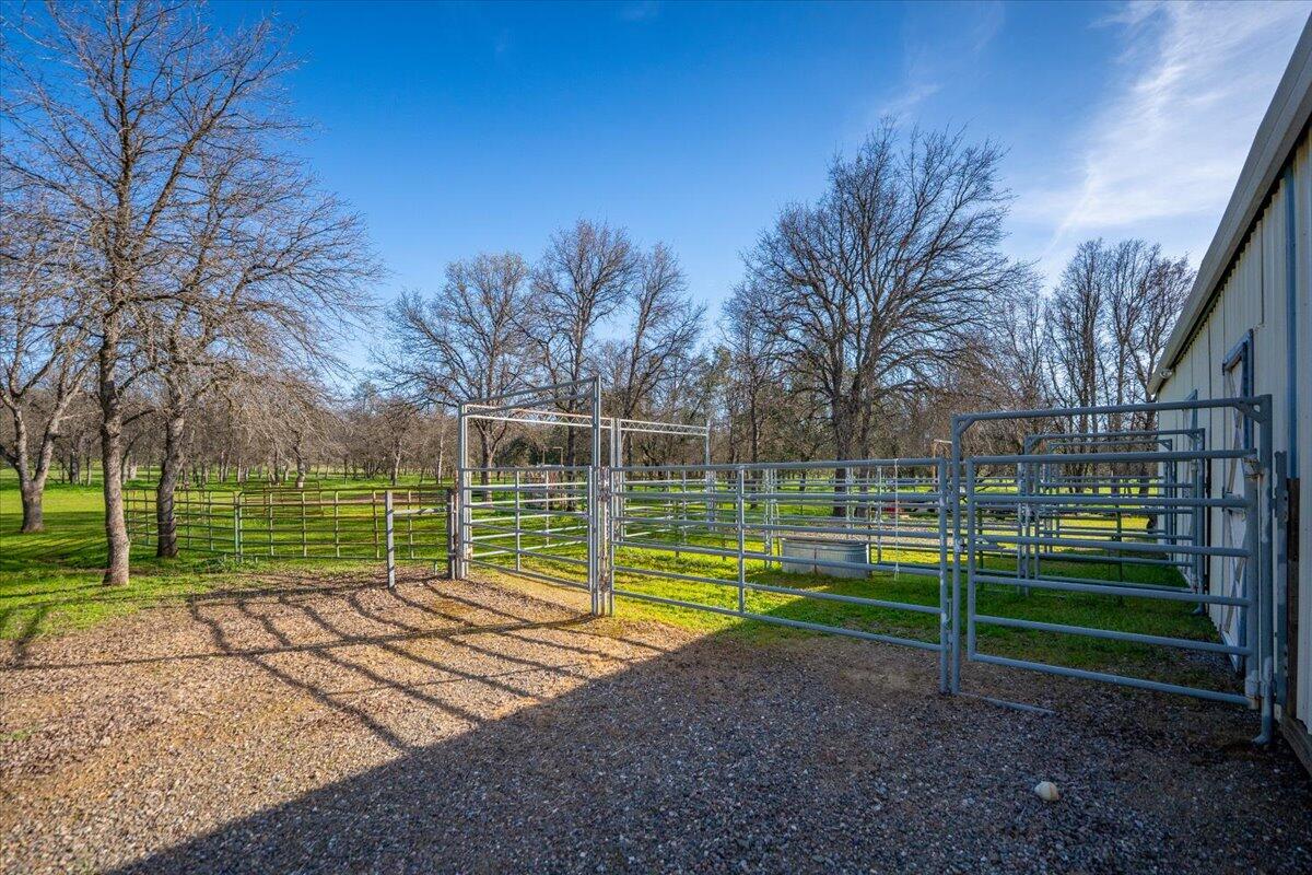 15525 Bowman Road Red Bluff, CA 96080 - Photo 39 of 148 Pens