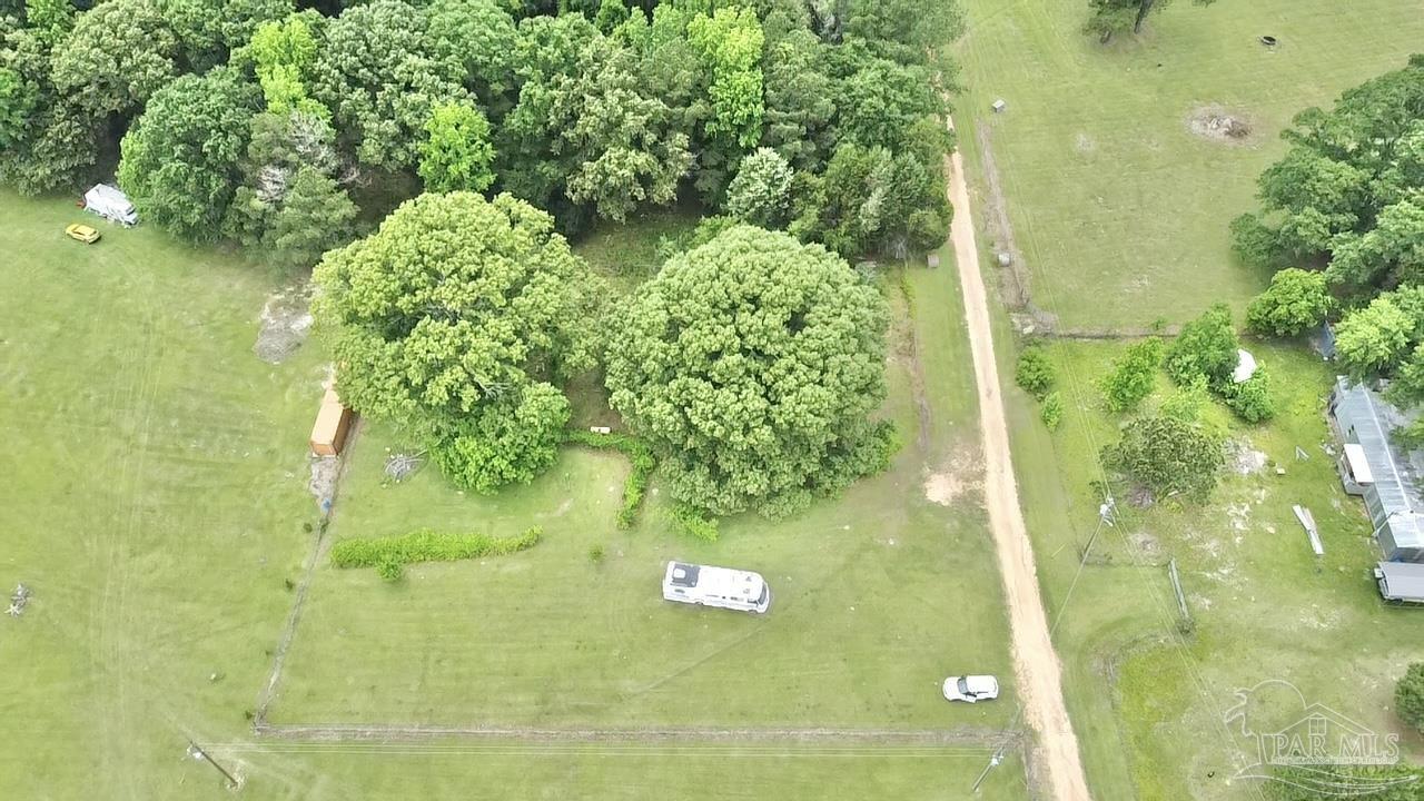 68697 Scranage Road Atmore, AL 36502 - Photo 9 of 9 a view of a garden