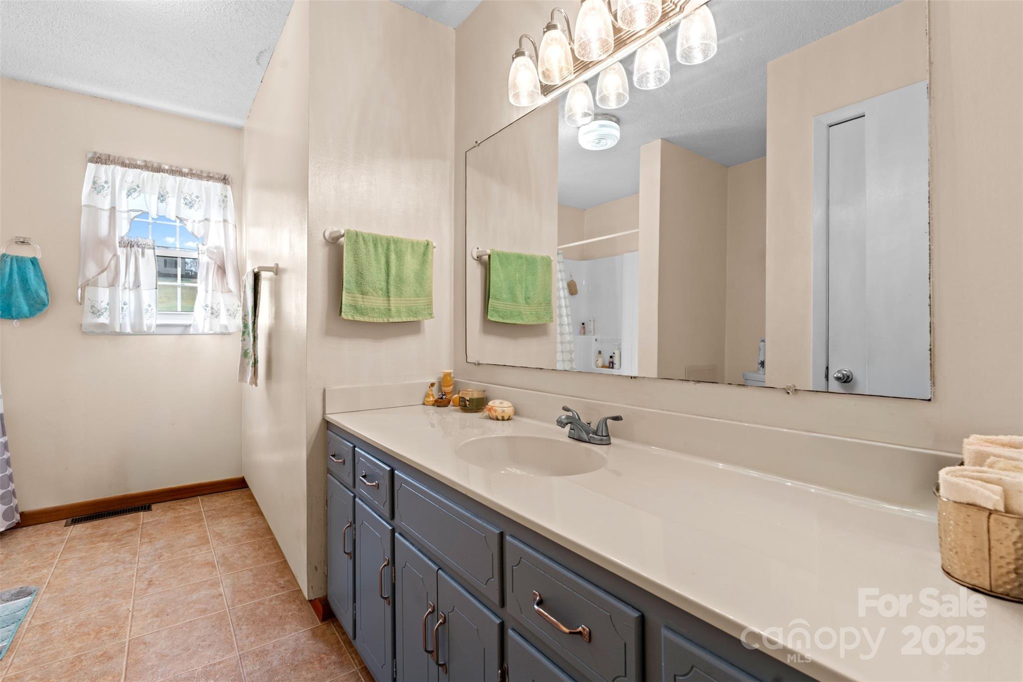 2598 Conner Circle Lenoir, NC 28645 - Photo 17 of 44 a bathroom with a sink and a mirror