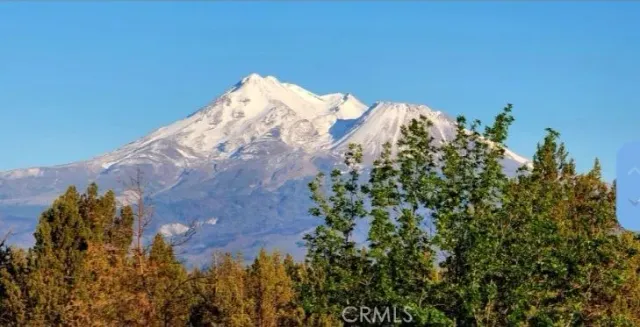a view of a small yard