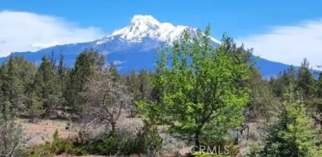 a view of a tree in a field of a house
