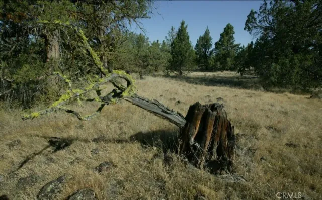 a view of a backyard of a house