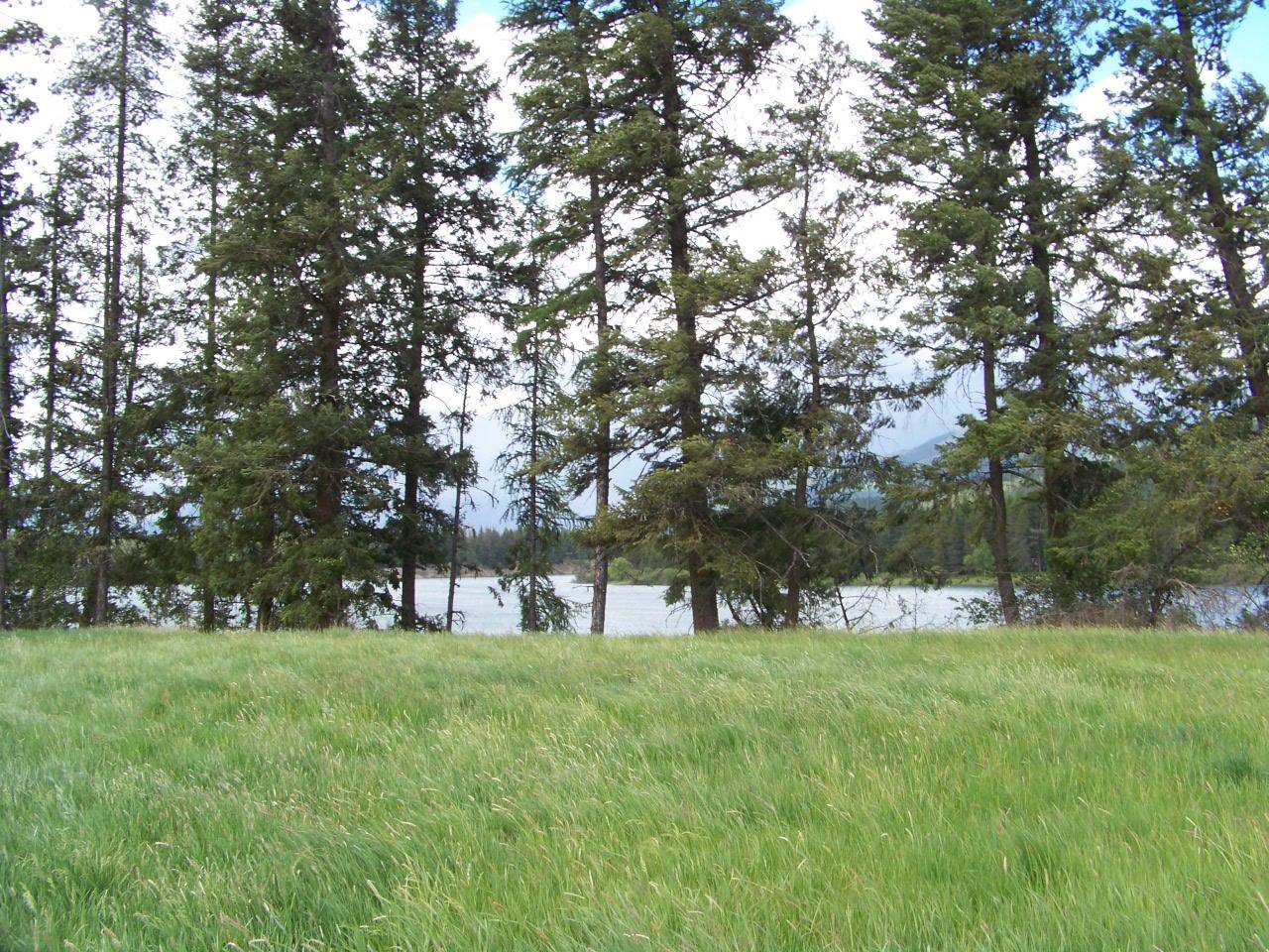452 Fristad Road Cusick, WA 99119 - Photo 3 of 22