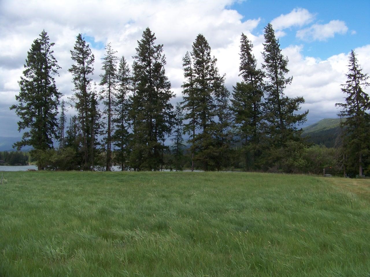 452 Fristad Road Cusick, WA 99119 - Photo 10 of 22
