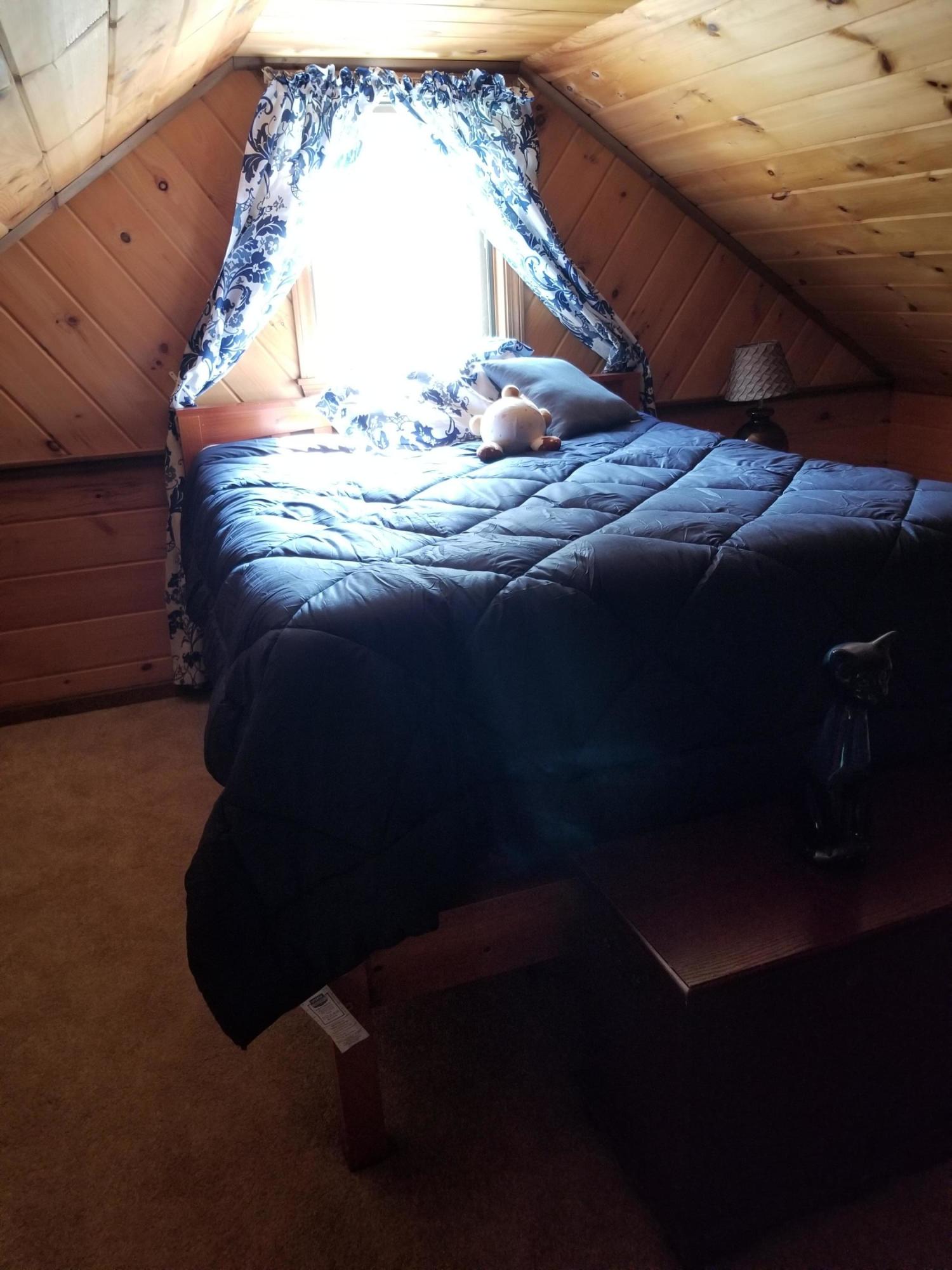 116 Plains Road Harrison, ME 04040 - Photo 33 of 44 20190705_090734