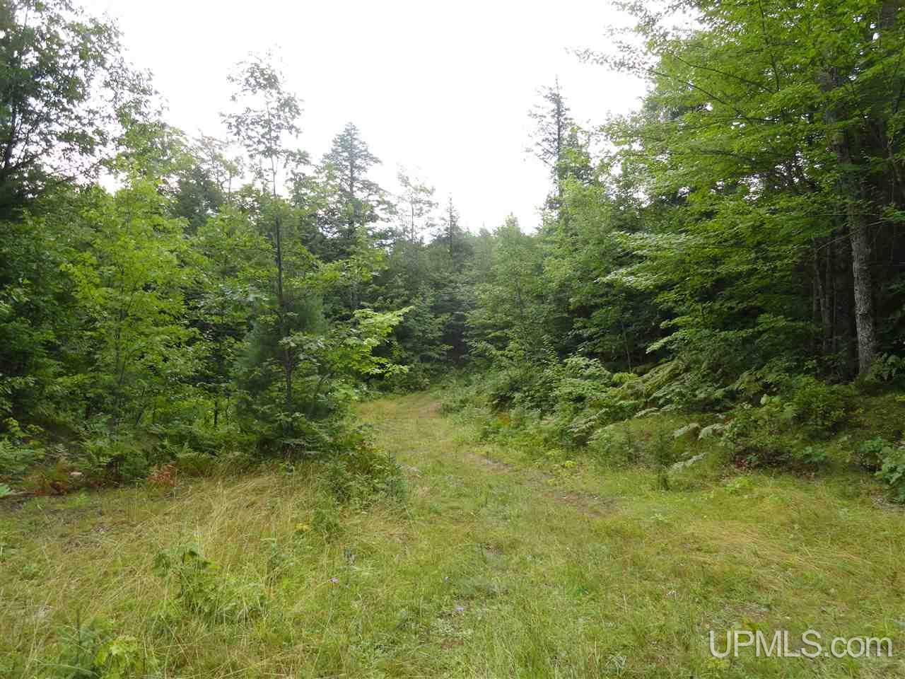 510 Rd Marquette Mi 49855 Road Negaunee, MI 49866 - Photo 4 of 26