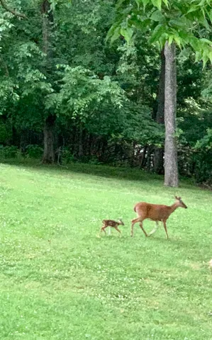 $643,900 | 508 Spinnaker Court, Smyrna, TN 37167