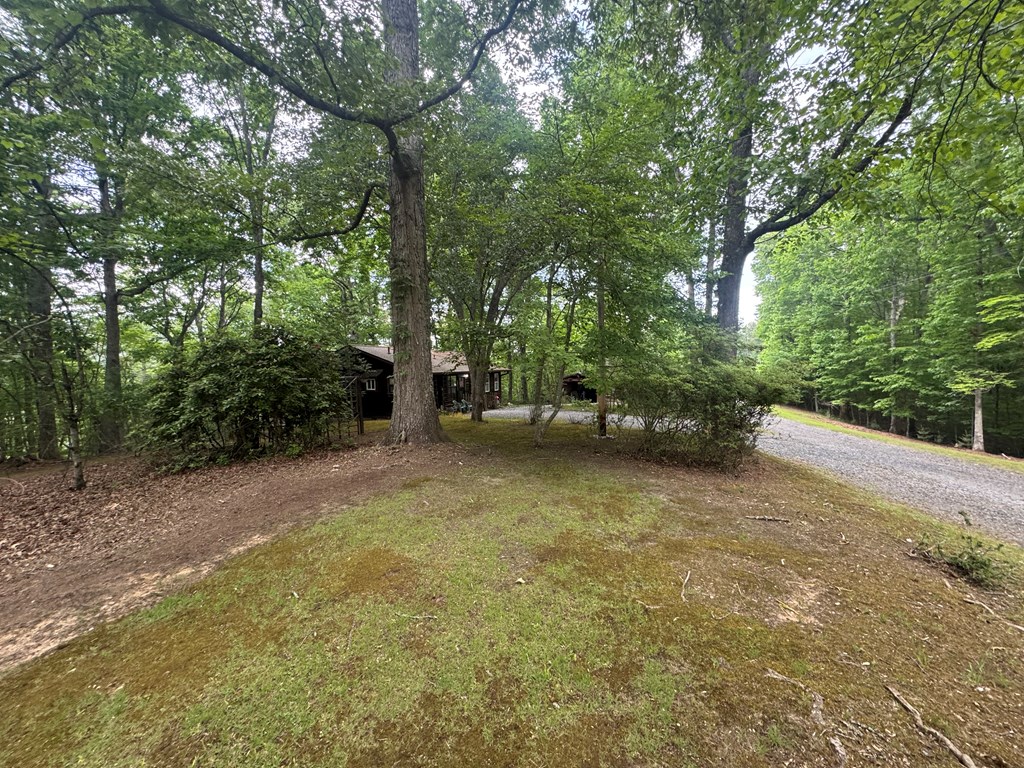 210 Holly Ridge Lane Murphy, NC 28906 - Photo 28 of 32