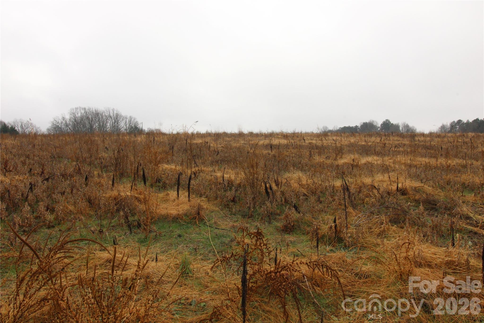 3-ac Neal Road, Unit 12 Bessemer City, NC 28016 - Photo 3 of 4 Gallery Image 3