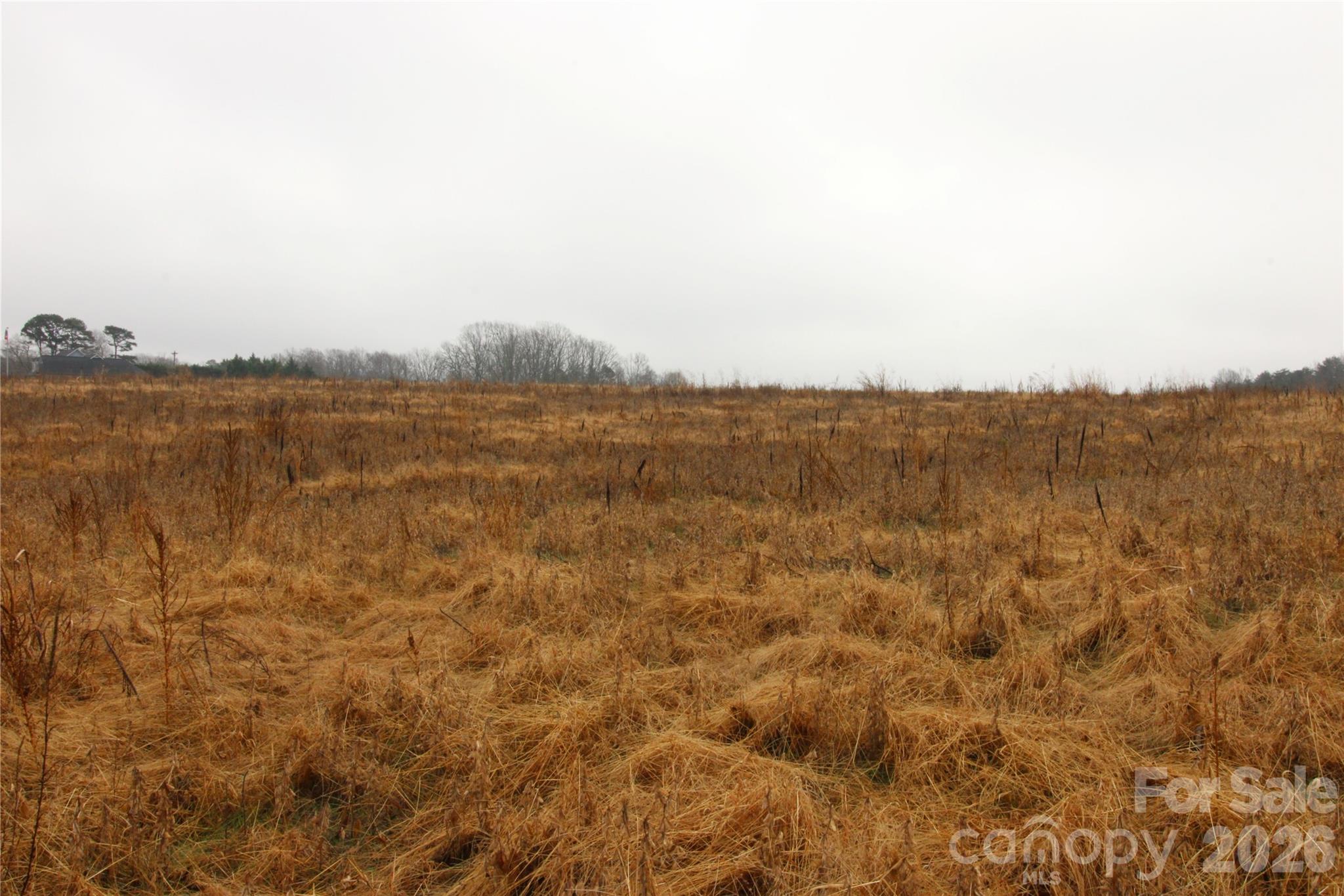 3-ac Neal Road, Unit 12 Bessemer City, NC 28016 - Photo 4 of 4 Gallery Image 4