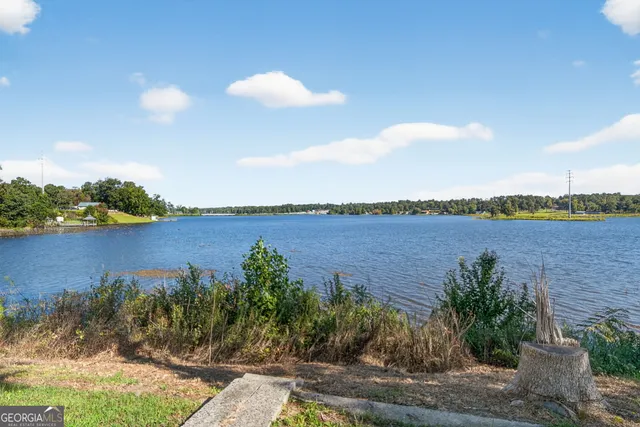 a view of a lake from a yard