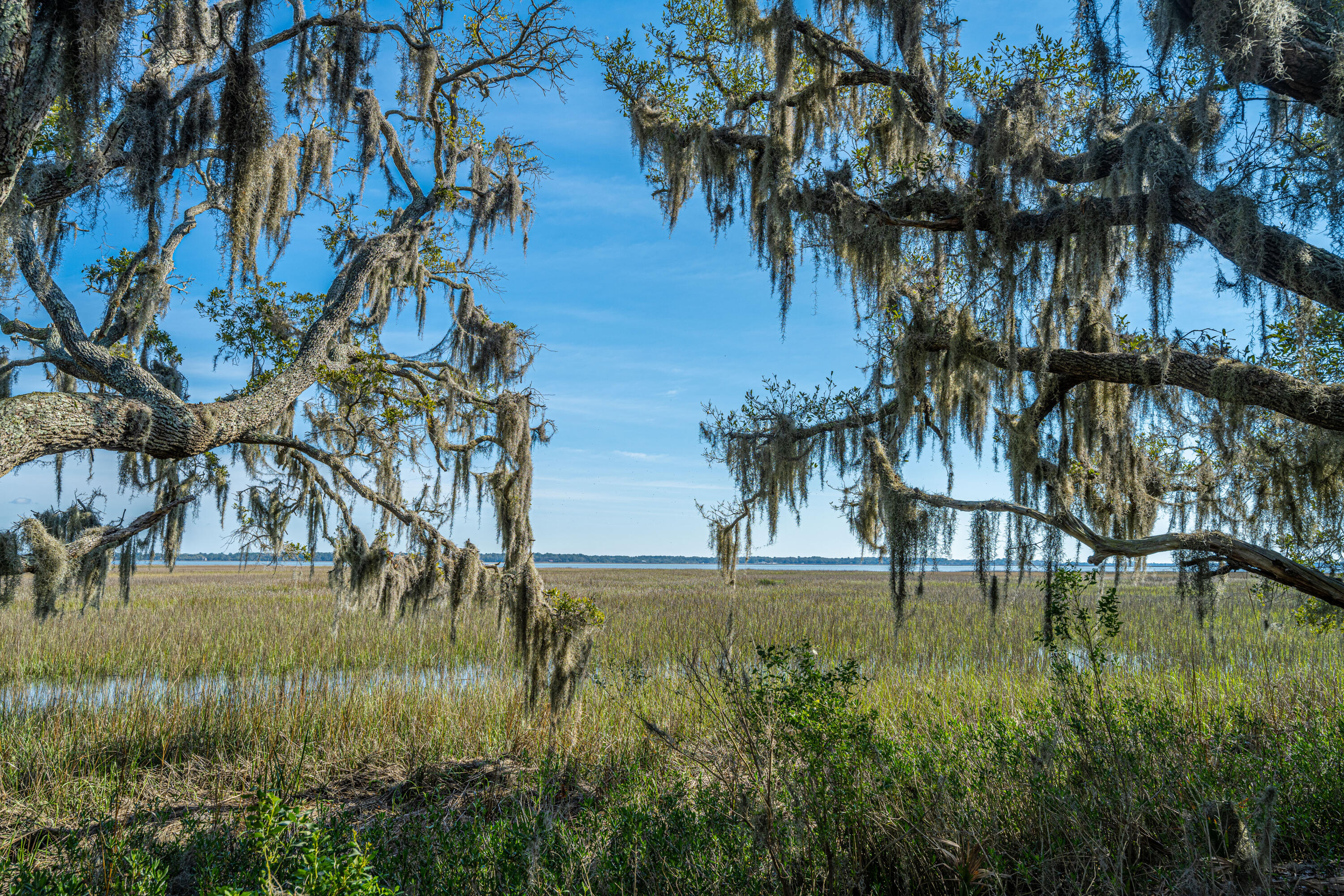 Lot 9 Hopkins Place Road Edisto Island, SC 29438 - Photo 3 of 13 DSC_3589