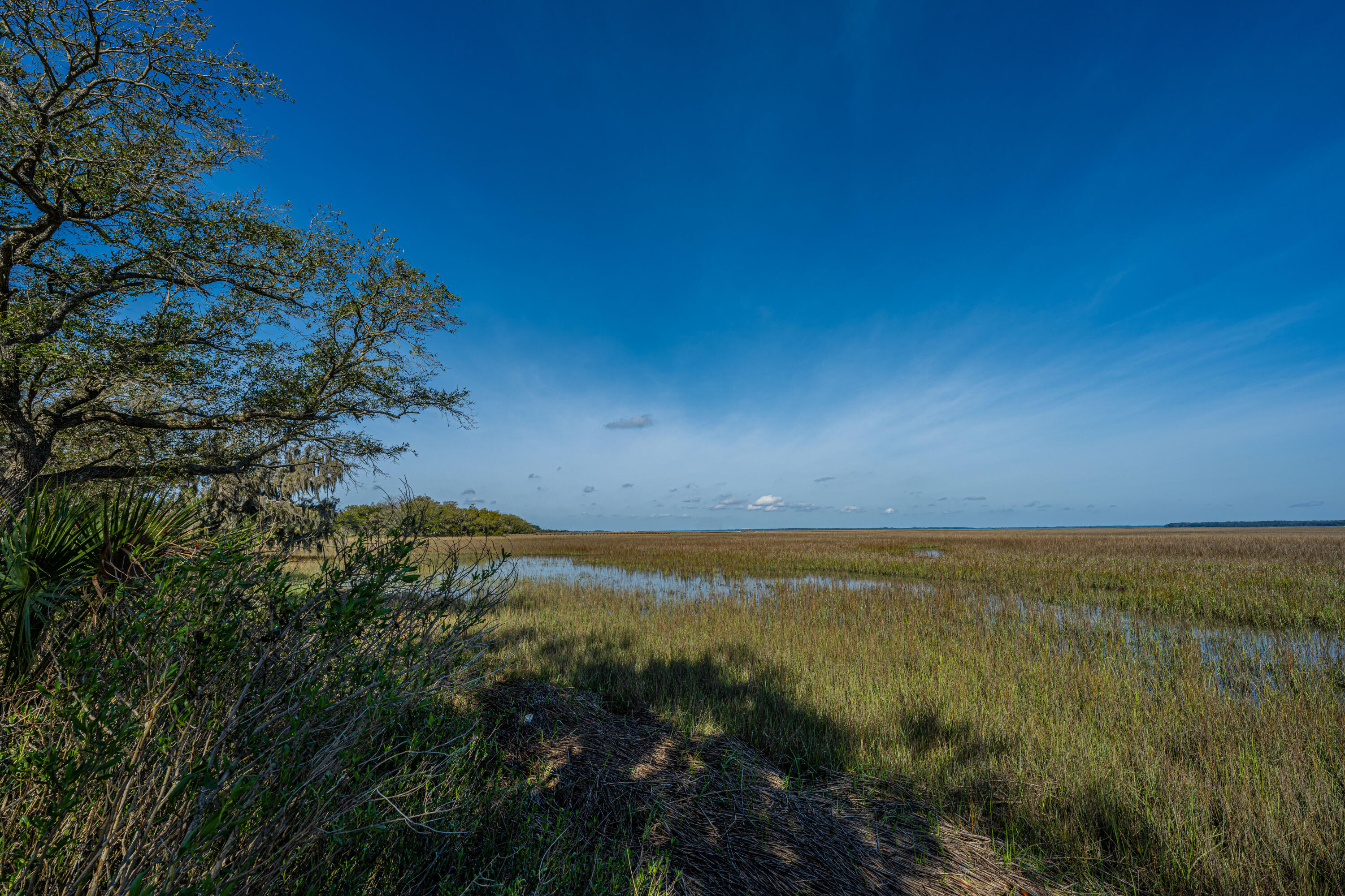 Lot 9 Hopkins Place Road Edisto Island, SC 29438 - Photo 5 of 13 DSC_3577