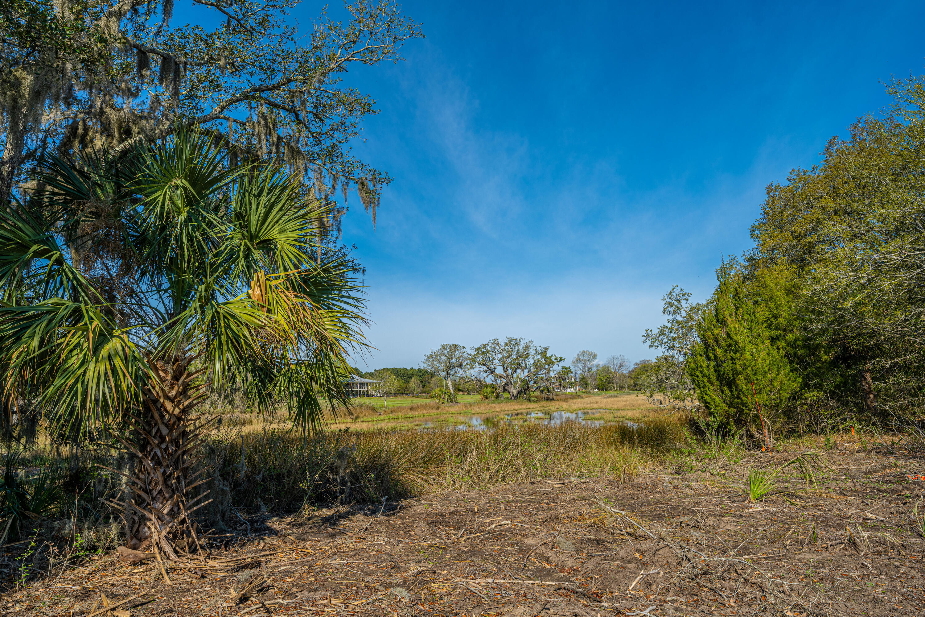 Lot 9 Hopkins Place Road Edisto Island, SC 29438 - Photo 8 of 13 DSC_3481