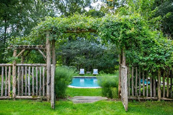 a view of a yard with large trees and plants