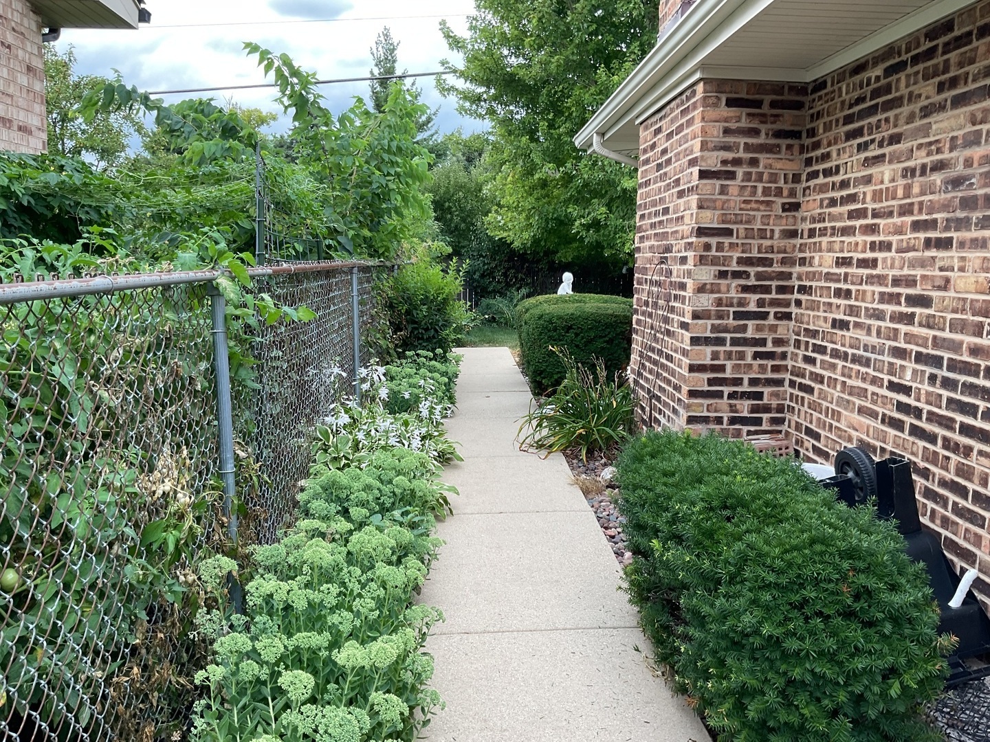 1200 West Palm Drive Mount Prospect, IL 60056 - Photo 3 of 36 a pathway of a house with a yard