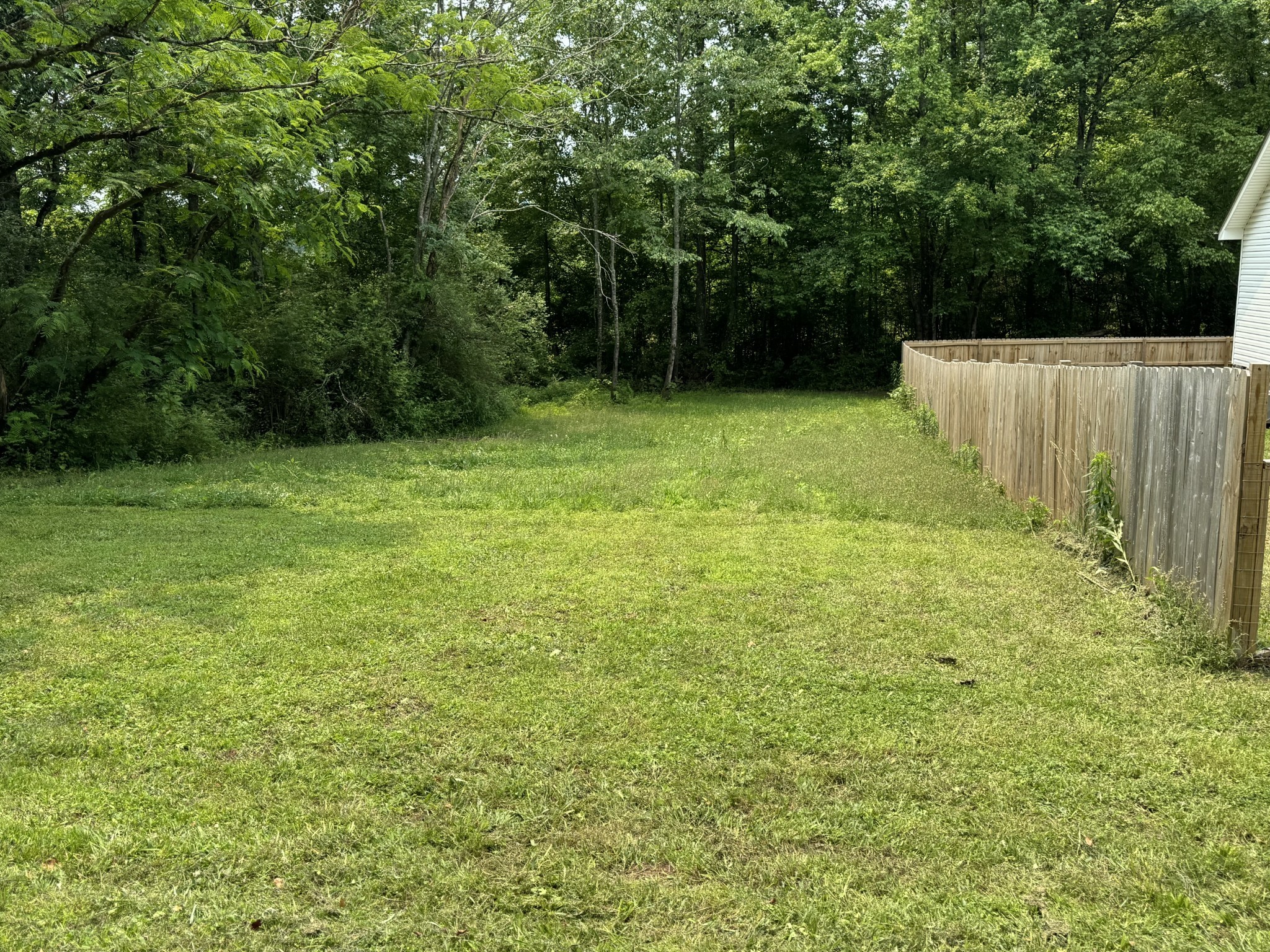 662 Ketner Mill Road Whitwell, TN 37397 - Photo 26 of 26 a view of a backyard