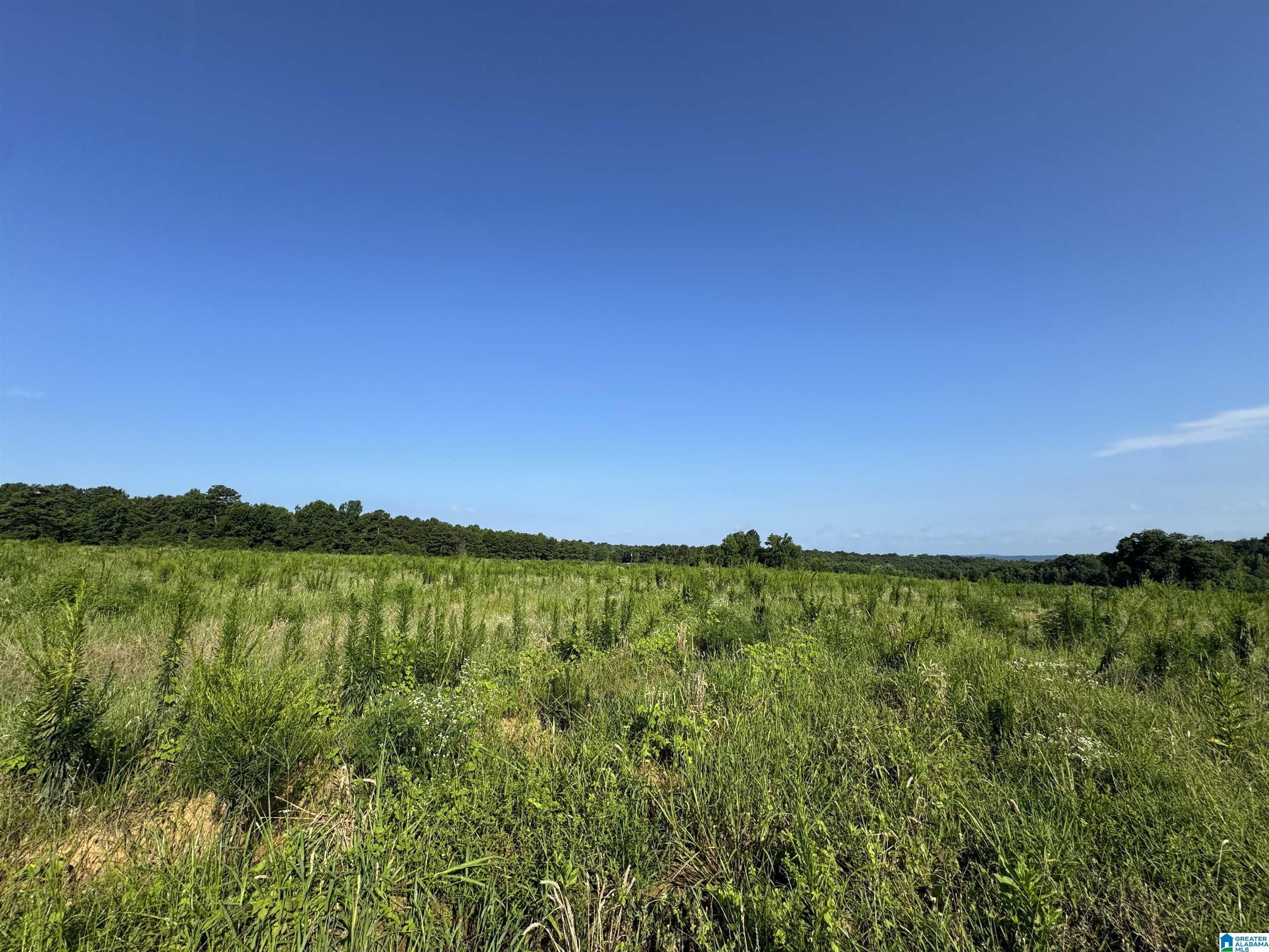 0 County Highway 27, Unit 47 Springville, AL 35146 - Photo 25 of 53