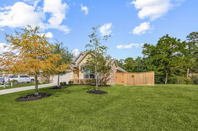 a park with lots of trees