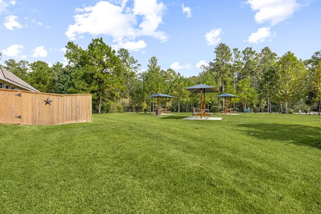 a view of a park with large trees