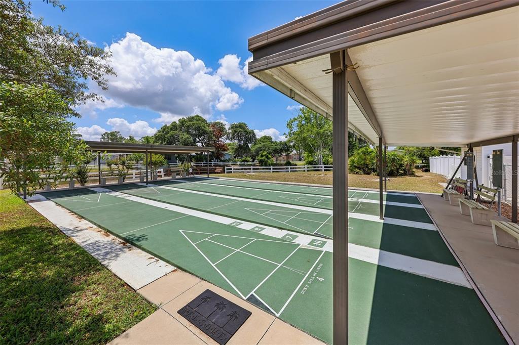 550 St Johns Road Tavares, FL 32778 - Photo 45 of 46 Gallery Image 45