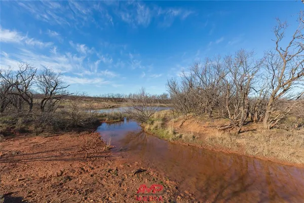 a view of a dry yard with wooden fence