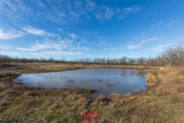 a view of a lake from a yard